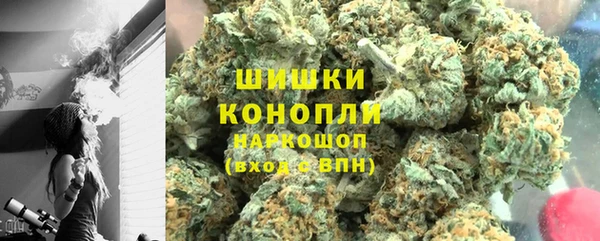 гашик Арсеньев