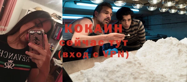 гашик Арсеньев