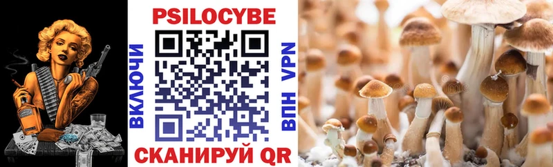Галлюциногенные грибы Psilocybine cubensis  где продают наркотики  Сасово 